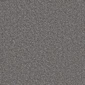 Insignia Slate Carpet