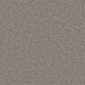 Gemini Titanium Carpet