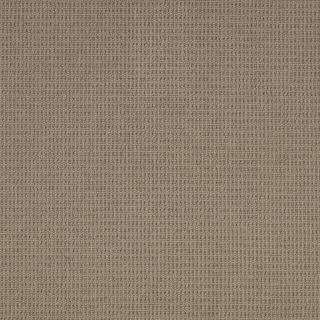 Khaki Texture