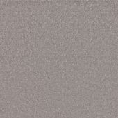 Starlight Pewter Carpet