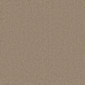 Starlight Mink Carpet