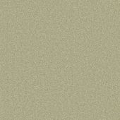 Motif Fern Carpet