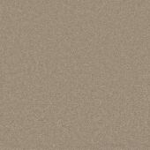 Motto Suede Carpet