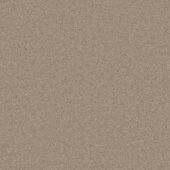 Durham Twist Sapwood Carpet