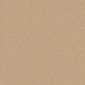 Durham Twist Papaya Carpet