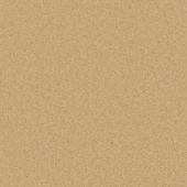 Durham Twist Spring Wheat Carpet