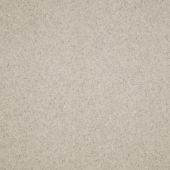 Durham Twist Oatmeal Carpet