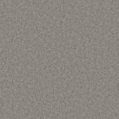 Durham Twist Nickle Carpet