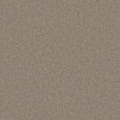 Durham Twist Tranquil Taupe Carpet