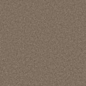 Durham Twist Wild Mink Carpet