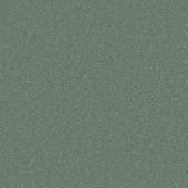 Durham Twist Pistachio Carpet