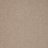 Montreal Beige Carpet