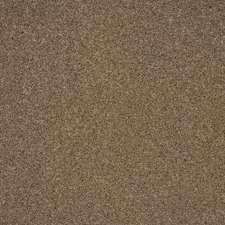 Montreal Suede