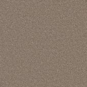 Valencia Fawn Carpet