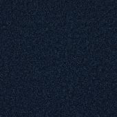 Four Seasons Navy Carpet
