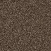 Four Seasons Oak Carpet