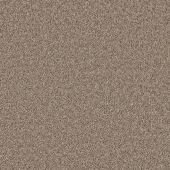 Four Seasons Mink Carpet