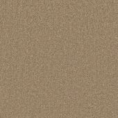 Parkmill Hazel Carpet