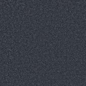 Parkmill Navy Carpet