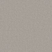 Parkmill Platinum Carpet