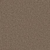 Parkmill Mink Carpet