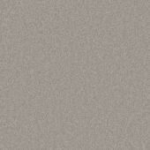 Pinehurst Platinum Carpet