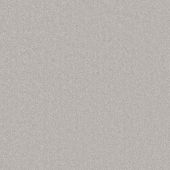 Rodeo Drive Silver Carpet