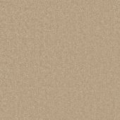 Rodeo Drive Beige Carpet