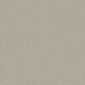 Rodeo Drive Lichen Carpet