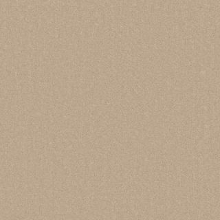 Clarendon Swatch Bare 