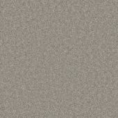 Salerno Silver Carpet