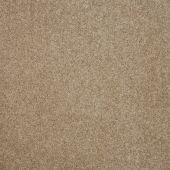Salerno Honey Carpet