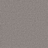 Carpetright Splendid Platinum Carpet