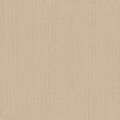 Santa Fe Sand Linear Carpet