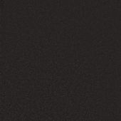 Empress Black Carpet