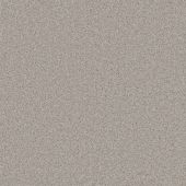 Maxim Platinum Carpet