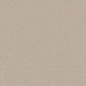 Treasure Parchment Carpet