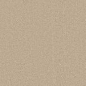 Treasure Sand Carpet