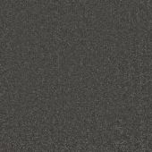 Treasure Soot Carpet