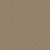 Treasure Fawn Carpet