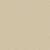 Rainbow Polar Carpet