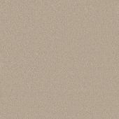 Madison Cream Carpet