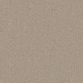 Madison Shell Carpet