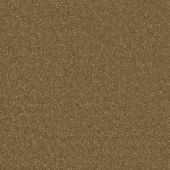 Detroit Old Gold Carpet