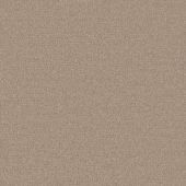 Detroit Shell Carpet