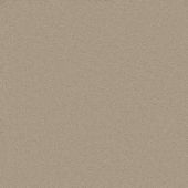 Langham Beige Carpet