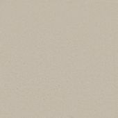 Palladium Canvas Carpet