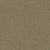 Astoria Lichen Carpet