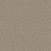 Carpetright Seagram Latte Carpet