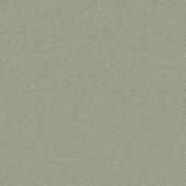 Carpetright Seagram Jade Carpet